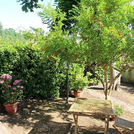 Le Coste Bed & Breakfast Veroli Ngoại thất bức ảnh